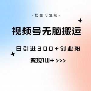 视频号无脑搬运日引300+创业粉，变现1W+可批量复制-创客聚集地