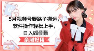 5月视频号野路子搬运，软件操作轻松上手，日入三位数-创客聚集地