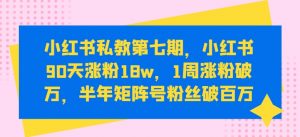 小红书私教第七期，小红书90天涨粉18w，1周涨粉破万，半年矩阵号粉丝破百万-创客聚集地
