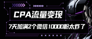 CPA流量变现，7天加满两个微信10000粉-创客聚集地
