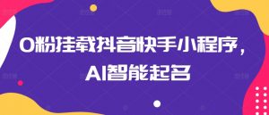 0粉挂载抖音快手小程序，AI智能起名-创客聚集地