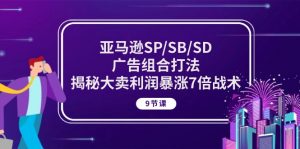 亚马逊SP/SB/SD广告组合打法，揭秘大卖利润暴涨7倍战术 (9节课)-创客聚集地