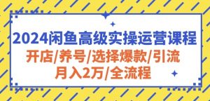 2024闲鱼高级实操运营课程：开店/养号/选择爆款/引流/月入2万/全流程-创客聚集地