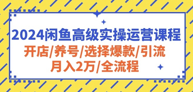 2024闲鱼高级实操运营课程：开店/养号/选择爆款/引流/月入2万/全流程-创客聚集地