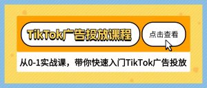 TikTok广告投放课程，从0-1实战课，带你快速入门TikTok广告投放（30节课）-创客聚集地