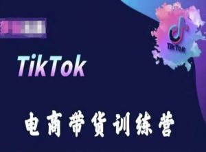 TikTok电商带货训练营，跟随时代潮流，跨境掘金-创客聚集地