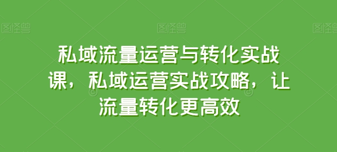 私域流量运营与转化实战课，私域运营实战攻略，让流量转化更高效-创客聚集地
