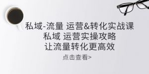 私域流量运营&转化实操课：私域运营实操攻略，让流量转化更高效-创客聚集地