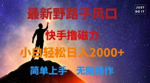 最新风口!快手撸磁力,野路子,小白无脑操作日入2000+-创客聚集地