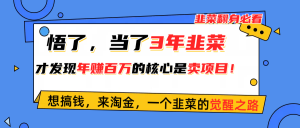 悟了，当了3年韭菜，才发现网赚圈年赚100万的核心是卖项目，含泪分享！-创客聚集地