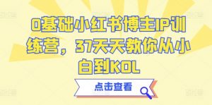 0基础小红书博主IP训练营，37天天教你从小白到KOL-创客聚集地