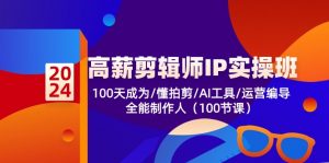 高薪剪辑师IP实操班【第2期】100天成为懂拍剪/AI工具/运营编导/全能制作人-创客聚集地