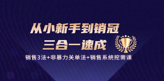从小新手到销冠 三合一速成：销售3法+非暴力关单法+销售系统挖需课 (27节)-创客聚集地