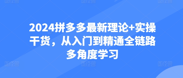 2024拼多多最新理论+实操干货，从入门到精通全链路多角度学习-创客聚集地
