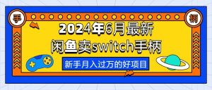 2024年6月最新闲鱼卖switch游戏手柄,新手月入过万的第一个好项目-创客聚集地