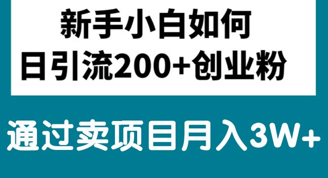 新手小白日引流200+创业粉,通过卖项目月入3W+-创客聚集地
