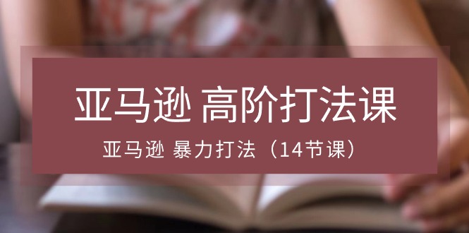 亚马逊 高阶打法课，亚马逊 暴力打法（14节课）-创客聚集地