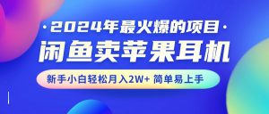 2024年最火爆的项目，闲鱼卖苹果耳机，新手小白轻松月入2W+简单易上手-创客聚集地