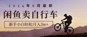 2024年6月最新闲鱼卖自行车,新手小白轻松月入3w+项目-创客聚集地
