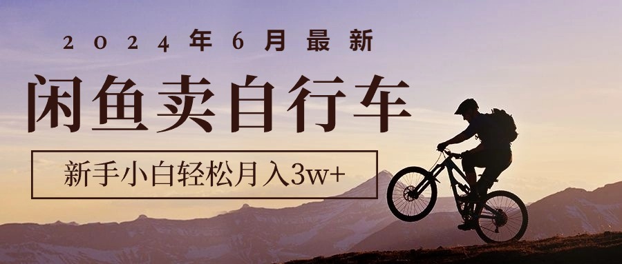 2024年6月最新闲鱼卖自行车，新手小白轻松月入3w+项目-创客聚集地