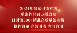 2024年最猛暴力引流方法，单条作品百万播放 单日引流500+高质量精准创业粉-创客聚集地
