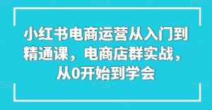 小红书电商运营从入门到精通课，电商店群实战，从0开始到学会-创客聚集地