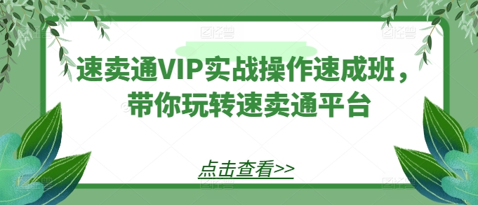 速卖通VIP实战操作速成班，带你玩转速卖通平台-创客聚集地