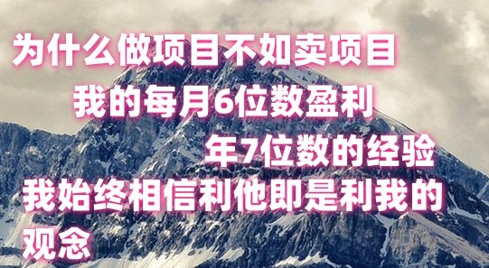 做项目不如卖项目，每月6位数盈利，年7位数经验-创客聚集地