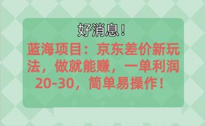越早知道越能赚到钱的蓝海项目：京东大平台操作，一单利润20-30，简单…-创客聚集地