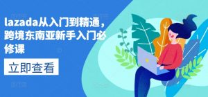 lazada从入门到精通，跨境东南亚新手入门必修课-创客聚集地