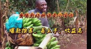 奥德彪经典语录小项目，爆款推荐，易上手，收益高-创客聚集地