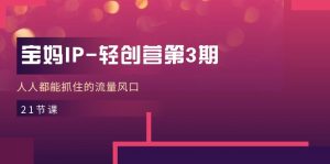 宝妈IP轻创营第3期，人人都能抓住的流量风口（21节课）-创客聚集地