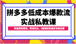拼多多低成本爆款流实战私教课，快速复制落地，野派玩法，0基础轻松搞定电商运营-创客聚集地