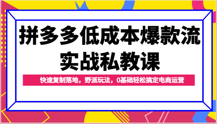 拼多多低成本爆款流实战私教课，快速复制落地，野派玩法，0基础轻松搞定电商运营-创客聚集地