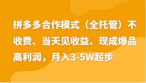 最新拼多多模式日入4K+两天销量过百单，无学费、老运营代操作、小白福利-创客聚集地