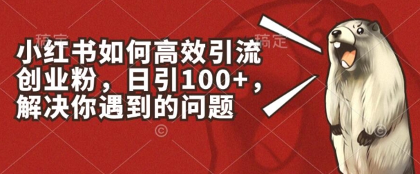 小红书如何高效引流创业粉，日引100+，解决你遇到的问题-创客聚集地