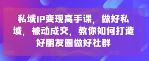 私域IP变现高手课，做好私域，被动成交，教你如何打造好朋友圈做好社群-创客聚集地