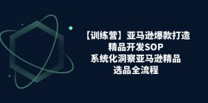 亚马逊爆款打造之精品开发SOP【训练营】,系统化洞察亚马逊精品选品全流程-创客聚集地