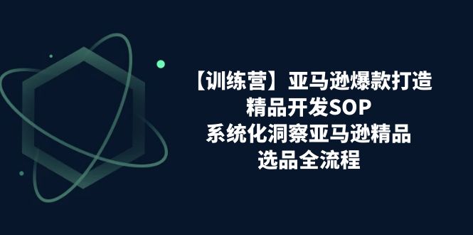 亚马逊爆款打造之精品开发SOP【训练营】，系统化洞察亚马逊精品选品全流程-创客聚集地