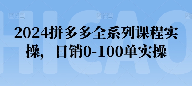 2024拼多多全系列课程实操，日销0-100单实操【必看】-创客聚集地