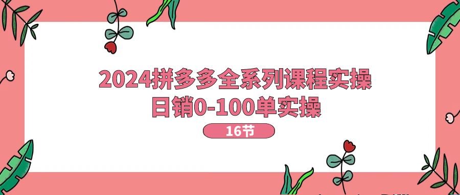 2024拼多多全系列课程实操，日销0-100单实操【16节课】-创客聚集地