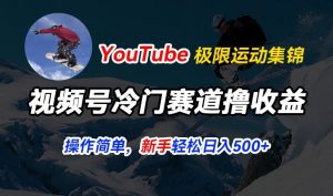 视频号冷门赛道撸收益，YouTube搬运极限运动集锦，暴力起号，操作简单流量高，轻松日入5张-创客聚集地
