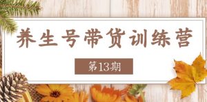 养生号带货训练营【第13期】收益更稳定的玩法，让你带货收益爆炸-创客聚集地