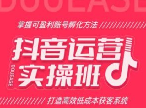 抖音运营实操班，掌握可盈利账号孵化方法，打造高效低成本获客系统-创客聚集地