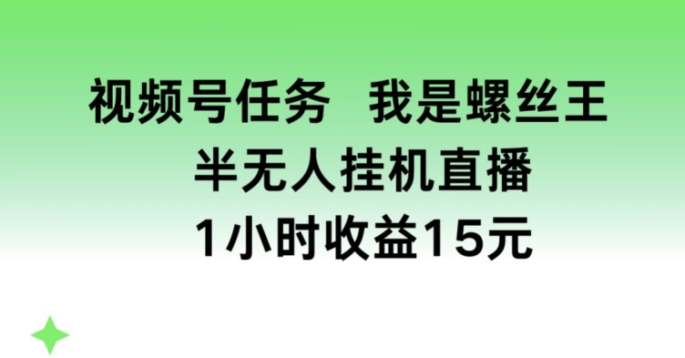 视频号任务，我是螺丝王， 半无人挂机1小时收益15元-创客聚集地