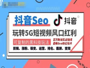 抖音SEO引流培训课程-抓住抖音风口，实现搜索排名，获取精准流量，快速成交变现-创客聚集地