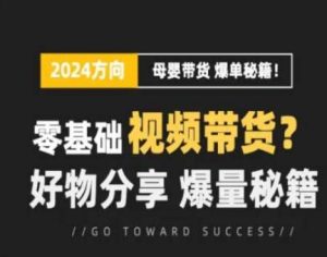 短视频母婴赛道实操流量训练营，零基础视频带货，好物分享，爆量秘籍-创客聚集地