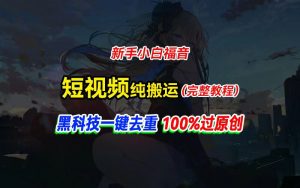 中视频计划纯搬运，黑科技一键去重过原创，新手小白福音，轻松日入大几百-创客聚集地