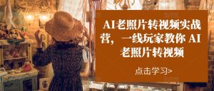 AI老照片转视频实战营，一线玩家教你AI老照片转视频-创客聚集地