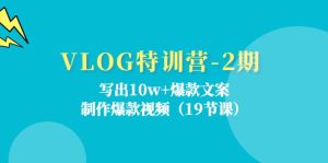 （11520期）VLOG特训营-2期：写出10w+爆款文案，制作爆款视频（19节课）-创客聚集地